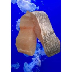 Corvina en ruedas