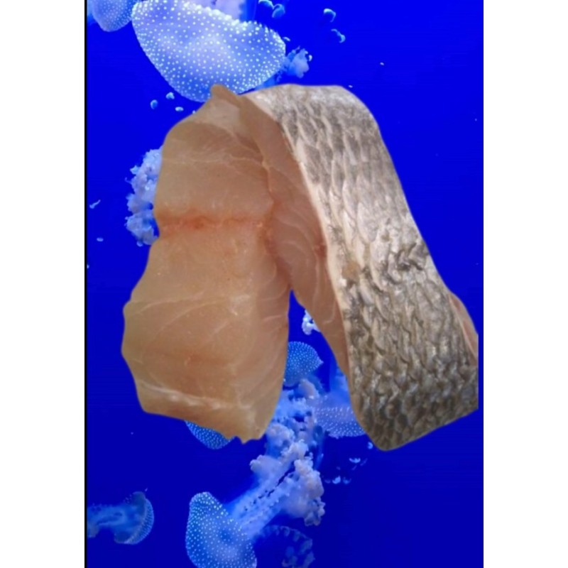 Corvina en ruedas