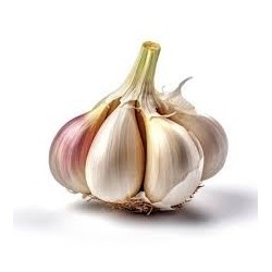 Cabeza de ajo por unidad