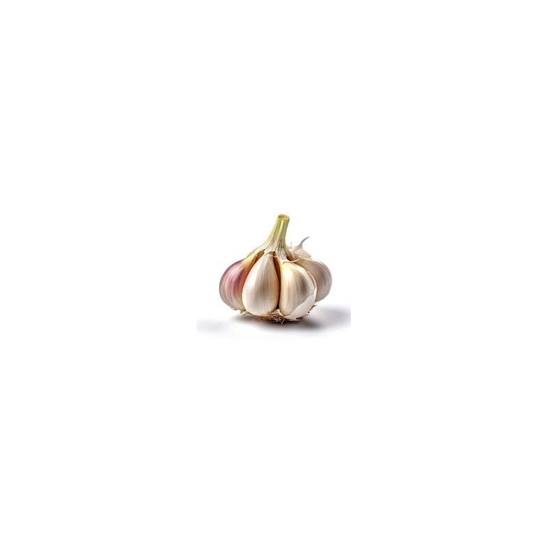 Cabeza de ajo por unidad