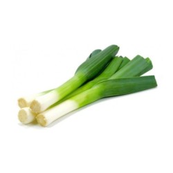 Ajo Porro