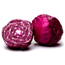 Repollo morado
