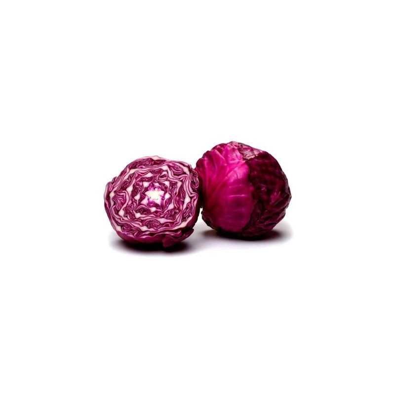 Repollo morado