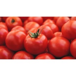 Tomates por kilo
