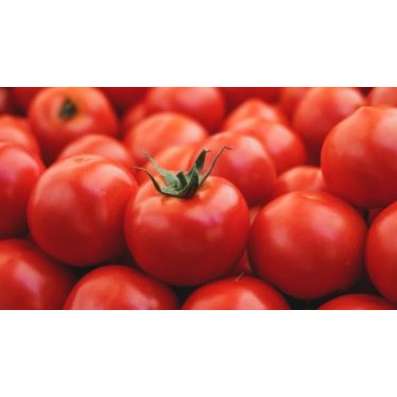 Tomates por kilo