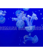 SEMANA SANTA 2024